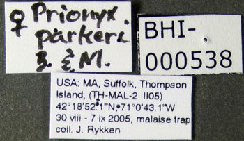 Media type: image;   Entomology 602881 Aspect: labels